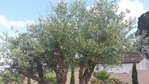 20180702_180634 bis.jpg