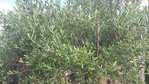 20180702_180655 bis.jpg