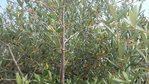20180702_180704 bis.jpg