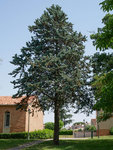 56b.jpg