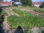 haut potager