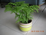 DSCN6822.JPG