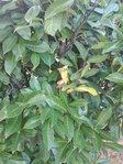 PART_1530898375815.jpg