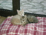 DSCN0754.JPG