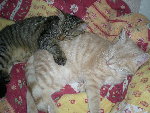 DSCN0880.JPG