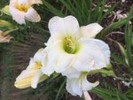 IMG_3654.JPG