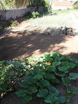 DSC_0000189.jpg