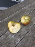 fruit.jpeg