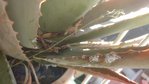 IMG_20180713_094044.jpg