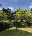IMG_20180713_132359.jpg