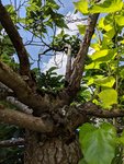 MVIMG_20180713_132410.jpg