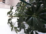20180714_104021-ConvertImage-1.jpg