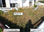 Jardin actuel.JPG