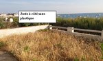Jardin sans plastique.JPG