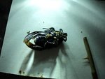 insecte noir verso.JPG
