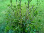 rps20180717_001459.jpg