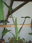 PB180384.JPG