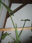 PB170376.JPG