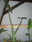 PB160371.JPG