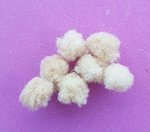 20180718_210504.jpg