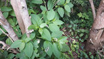 20180720_145552 web 3.jpg