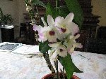 IMG_0283.JPG