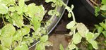IMG_20180723_103754.jpg