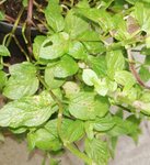 IMG_20180723_103817.jpg