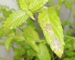 IMG_20180723_103835.jpg