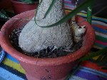 DSCN7891 (Medium).JPG