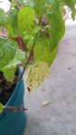 20180724_081712_resized.jpg