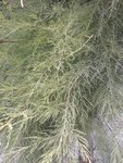 20180722_153830_resized_1.jpg
