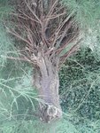 20180722_153839_resized_1.jpg