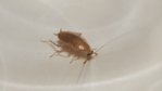 20180725_003433.jpg