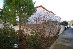 maison jardin.jpg