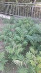 20180727_165838.jpg