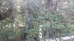 20180727_185330.jpg