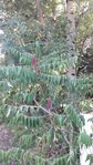 20180727_185352.jpg