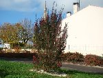 DSC00240-redim640.JPG
