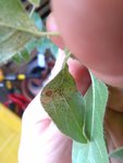 2018-07-26 20.11.53.jpg
