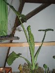 PB190385.JPG