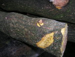 DSCN6641.JPG