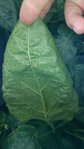 20180728_094001.jpg