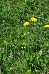 DSC_5128 1.jpg