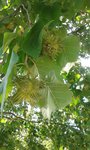 20180718_085845-1.jpg