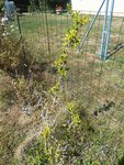 IMG_20180730_153554.jpg