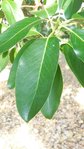 20180729_171625-580x1031.jpg