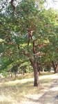 20180729_171651-580x1031.jpg