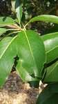 20180729_171713-580x1031.jpg