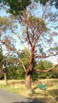 20180729_171955-580x1031.jpg